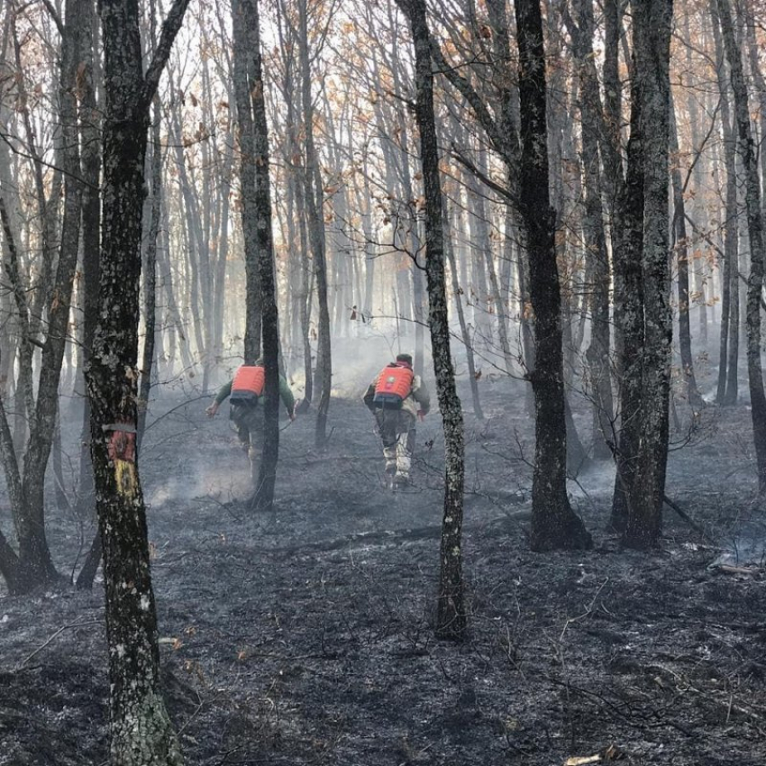  МЧС наращивает группировку для тушения природного пожара в Северском районе 