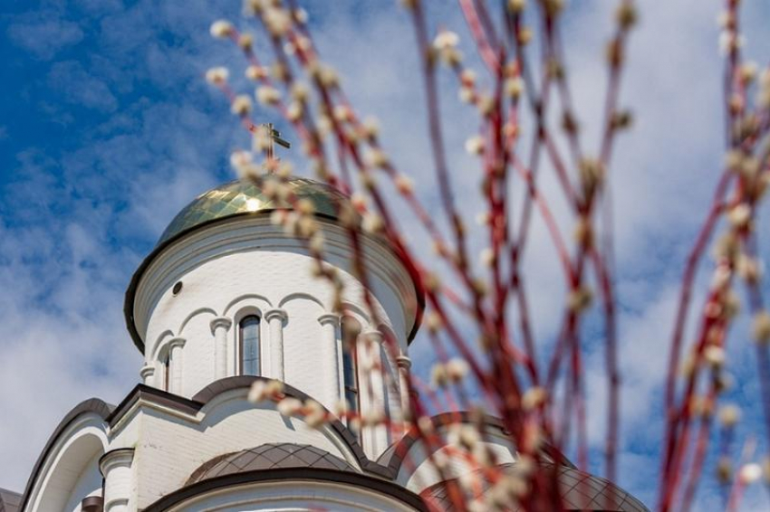 Кубанские храмы на Вербное воскресенье проведут онлайн-трансляции 