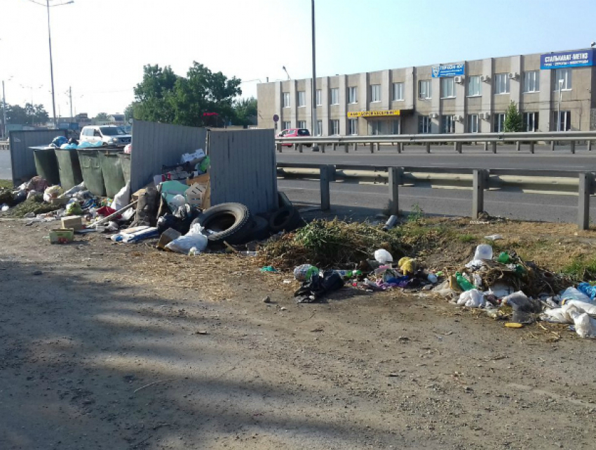 «Позор городу!» - краснодарцам стало стыдно перед туристами за стихийные свалки