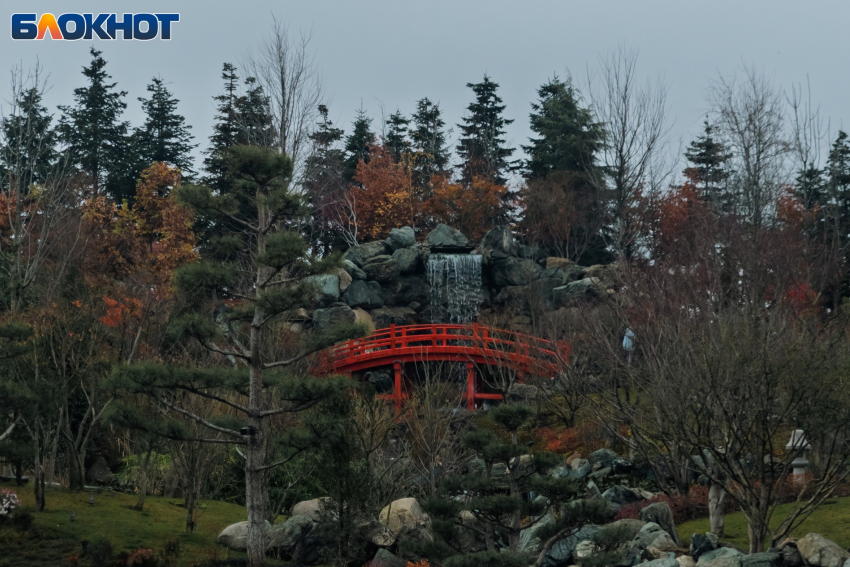 Дождливый и пасмурный понедельник встретит краснодарцев