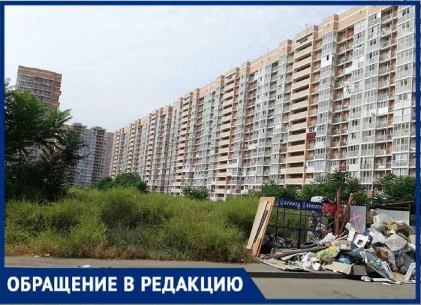 Амброзия во дворе многоэтажки мешает спокойной жизни краснодарцев 