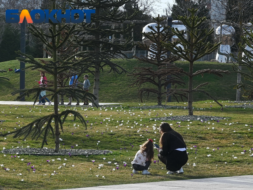 Есть вероятность дождей: что прогнозируют краснодарцам в середине марта?