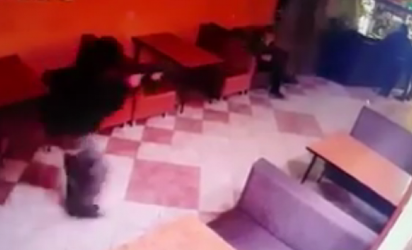  Появилось видео расстрела посетителей кафе в Усть-Лабинске 