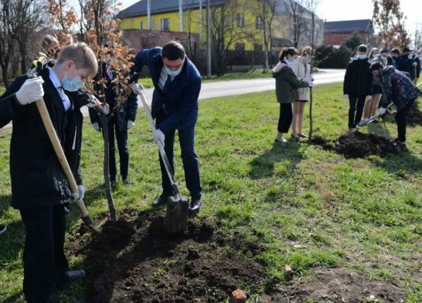 Глава города Евгений Первышов принял участие в акции «Краснодар — десять тысяч деревьев»