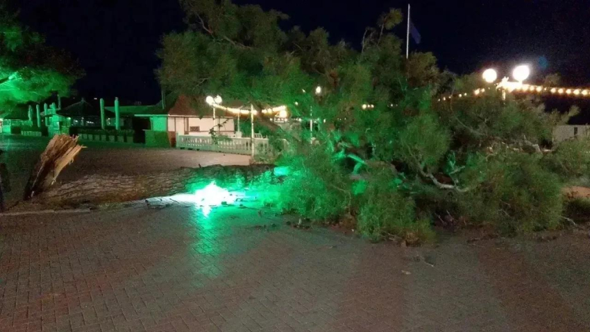 В городе-курорте Кубани сильный ветер разбросал деревья и завалил линии электропередачи 
