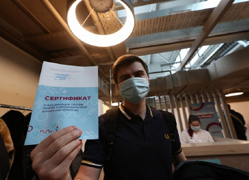 Липовые ПЦР-тесты и сертификаты о прививках от COVID-19 начали предлагать туристам на курортах Кубани