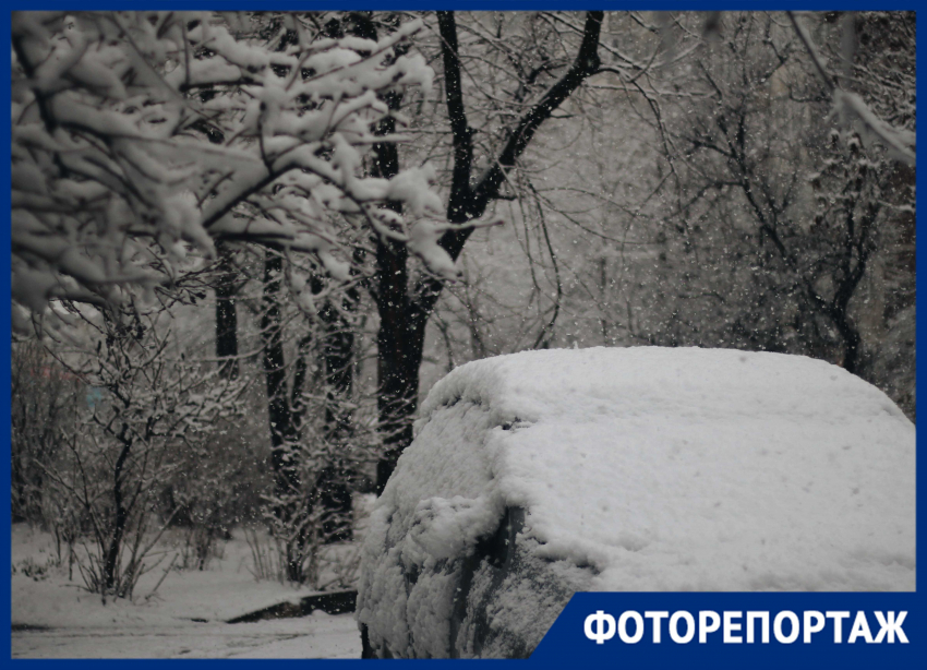 Лучше не выходить из дома. Фоторепортаж о зимней сказке в Краснодаре