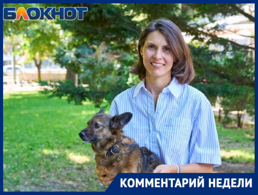 Кровопийцы вышли на охоту: действенные средства защиты питомца от клещей назвала ветеринар из Краснодара