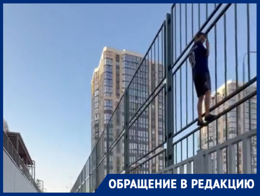 «Дети сидят на заборах»: микрорайон в Краснодаре оккупировала стая собак 