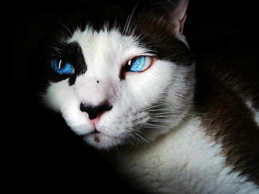 Вторник в Краснодаре будет теплым и солнечным