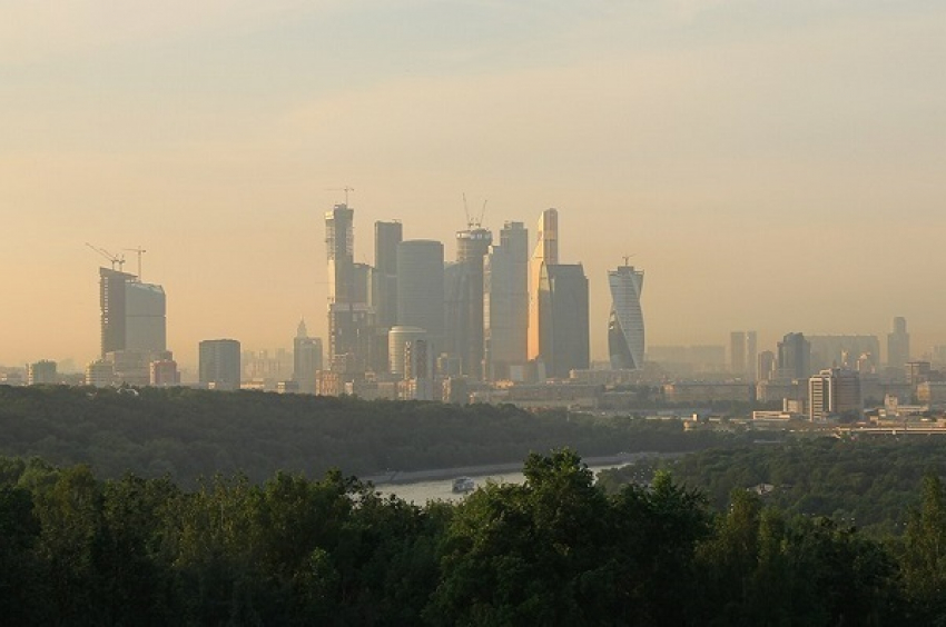 «Увидеть Москву и отсидеть». Краснодарец  украл полмиллиона ради экскурсии в столицу