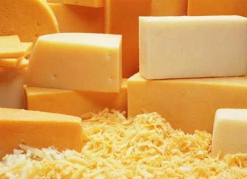 В Краснодарском крае построят сырный завод