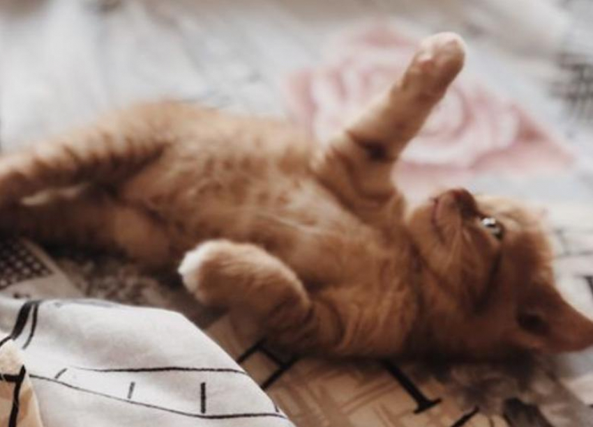 Кошмар для метеозависимых: в Краснодаре резко потеплеет