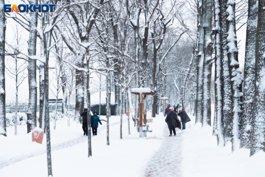 Морозы не отступают: когда ждать потепление в Краснодаре?