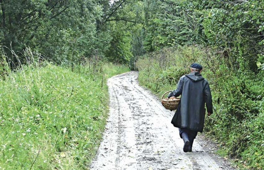 Грибник из Краснодара сел «пятой точкой» на нож 