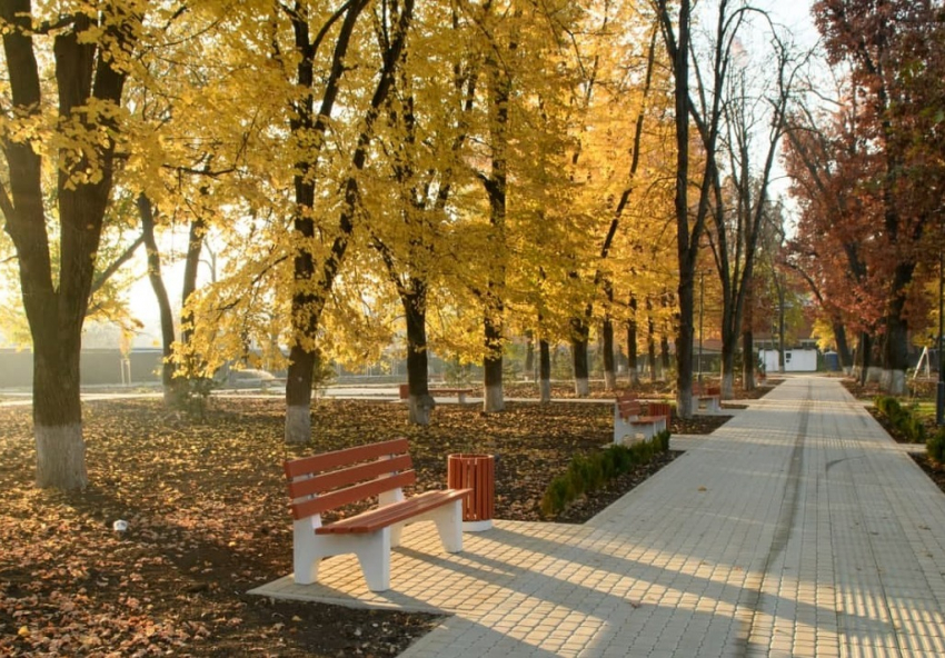 Голосование по выбору парков и скверов для благоустройства в Краснодаре перенесли 