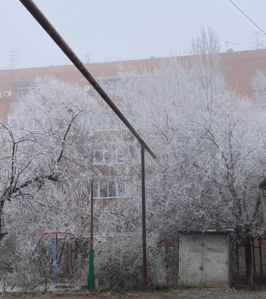 Главное в Краснодаре сегодня: на Кубани обидели Льва Толстого, казачка  собралась к Путину, Лепс опережает Ревву, а кто-то выживает с пулей в груди