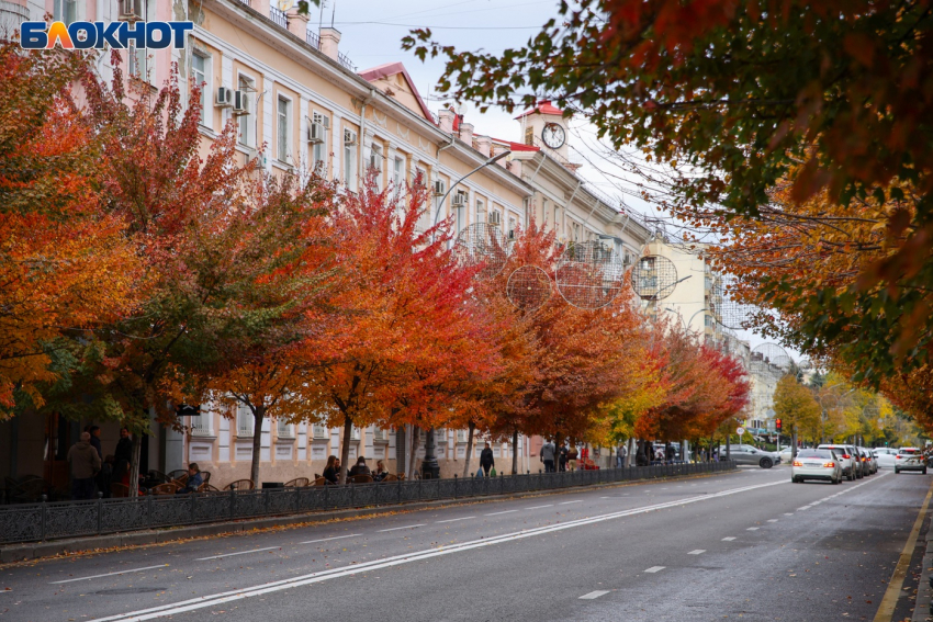 В Краснодаре потеплеет до +20 градусов в последний рабочий день 