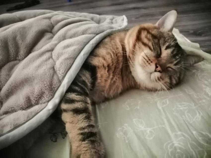 Дождь, град и шквалистый ветер ожидаются в Краснодарском крае в субботу