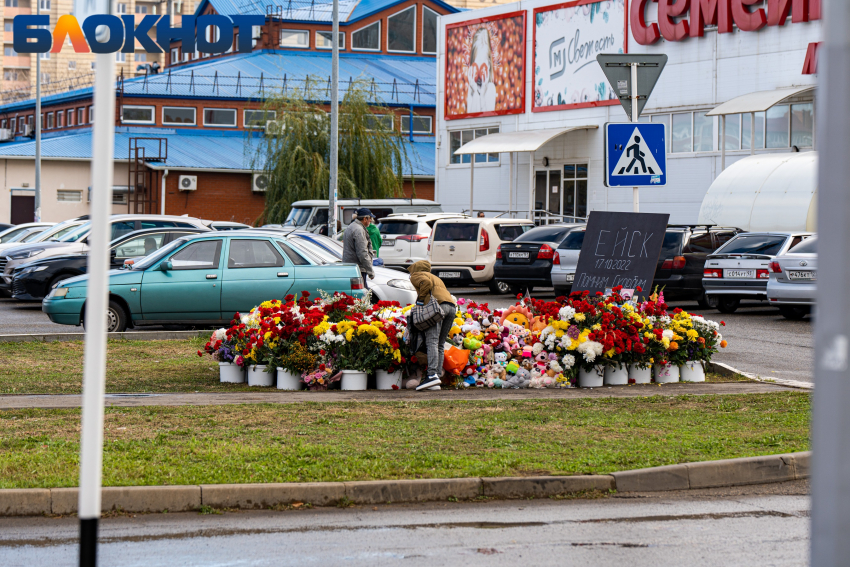 В краснодарской больнице скончалась пострадавшая при падении самолета на дом в Ейске шестилетняя девочка