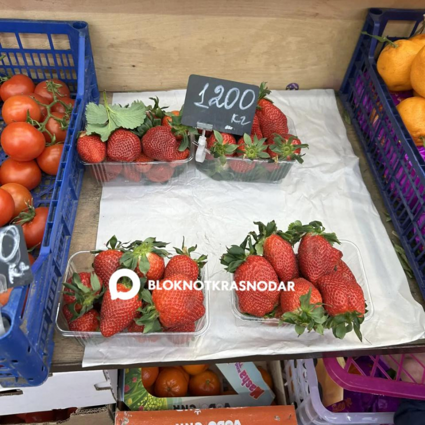 В Краснодаре начали торговать клубникой 