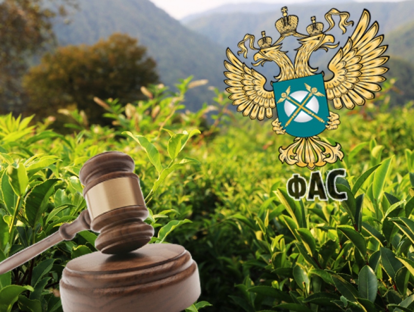 Историческое событие: московский суд отменил незаконное решение ФАС по «Краснодарскому чаю»