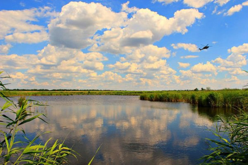 В Краснодарском крае нашли тело молодой девушки