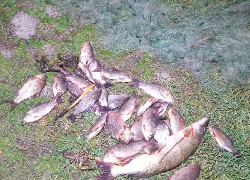 Активисты и Рыбоохрана выявили факты массового браконьерства на Карасунских озерах