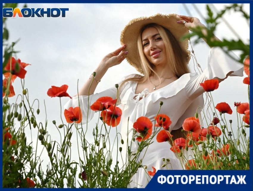 Огромное маковое поле расцвело в Краснодаре