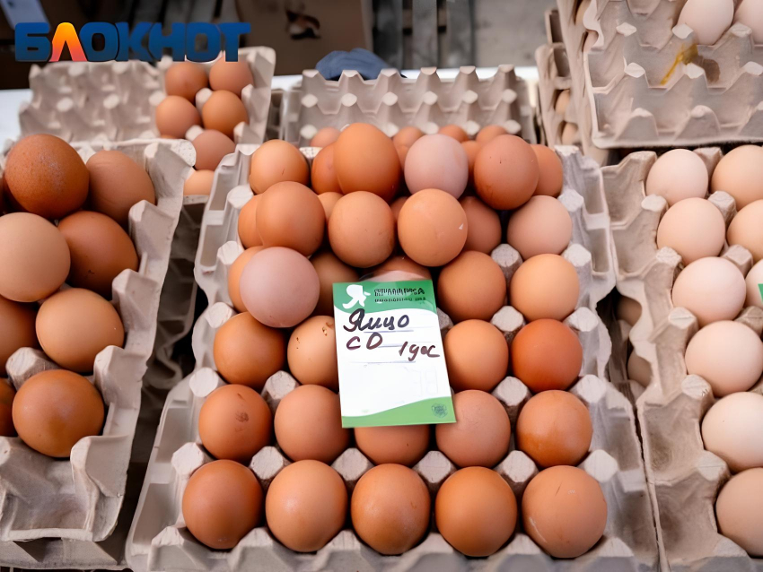 Куриные яйца «скакнули» в цене сразу на 6% в Краснодарском крае