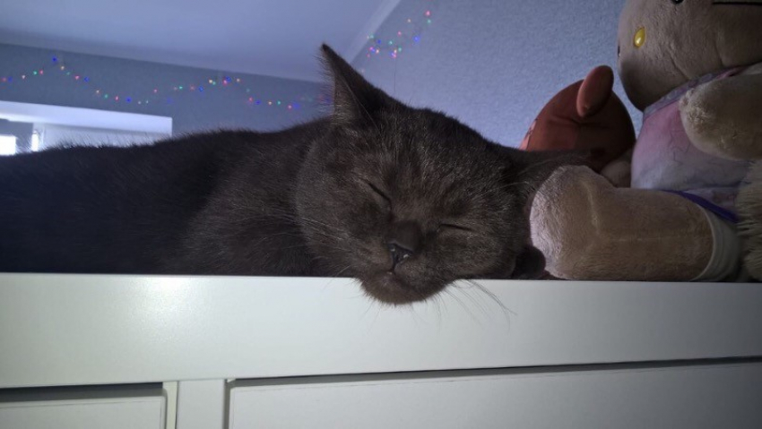 Погода в Краснодаре не оставит без туч