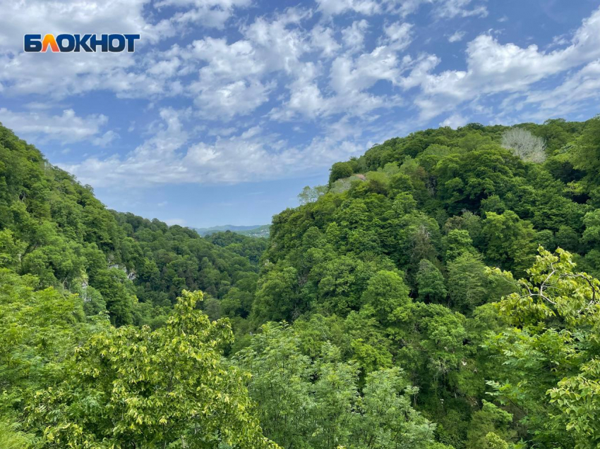 В Краснодарском крае ощутили подземные толчки 