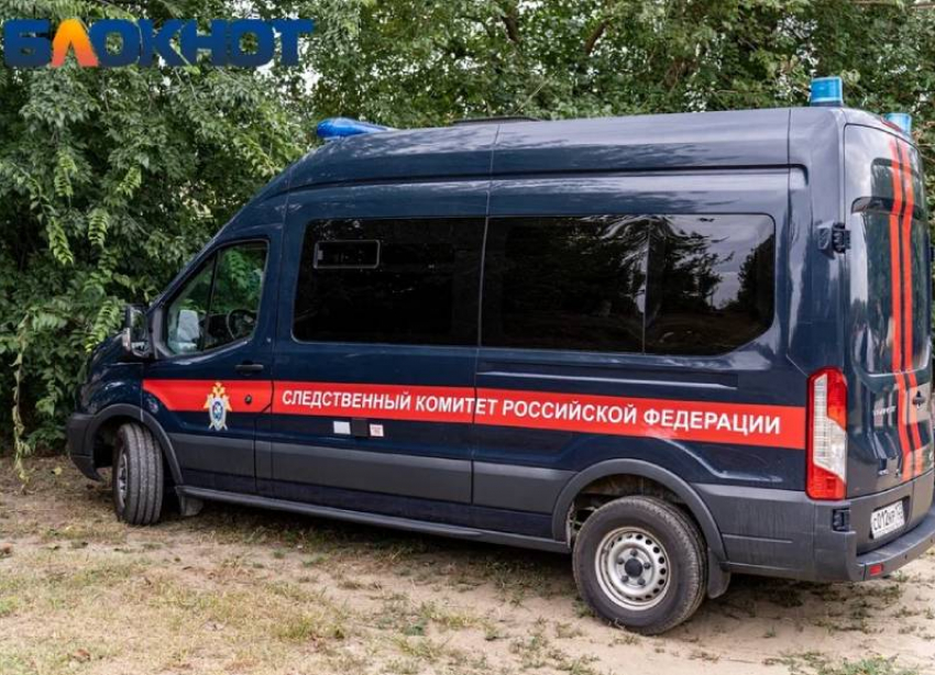 В Краснодаре СК возбудил уголовное дело после травмирования 11-летней девочки в школе 