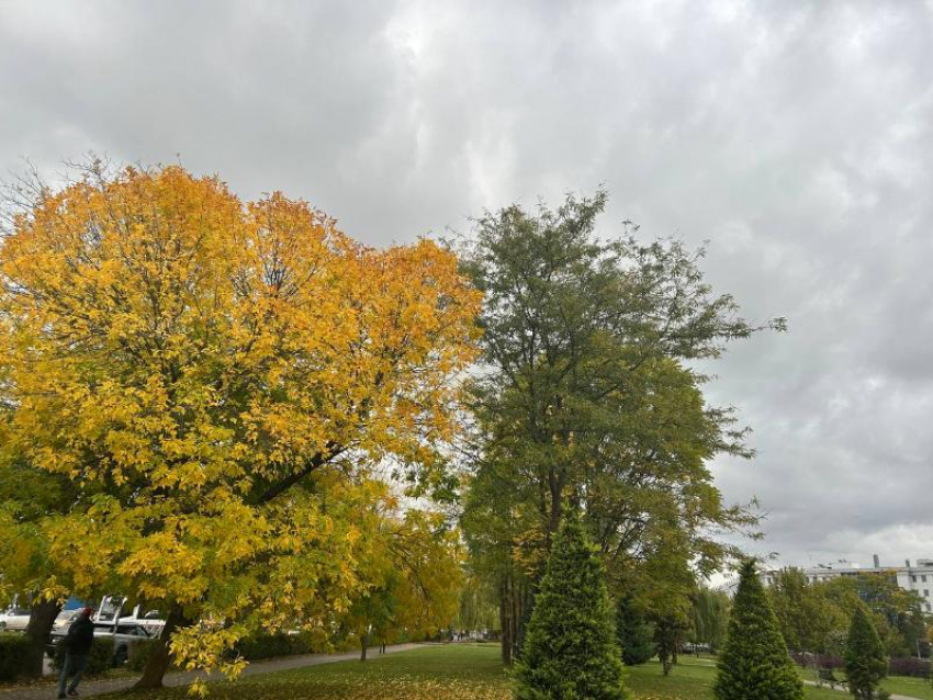 Всего до +11 градусов прогреется воздух в Краснодаре сегодня 