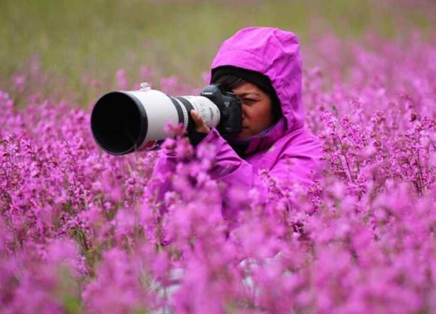 Краснодарцам расскажут, как снимать на природе