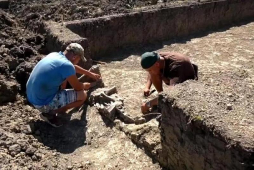 Останки женщины и трехлетнего ребенка нашли на Кубани