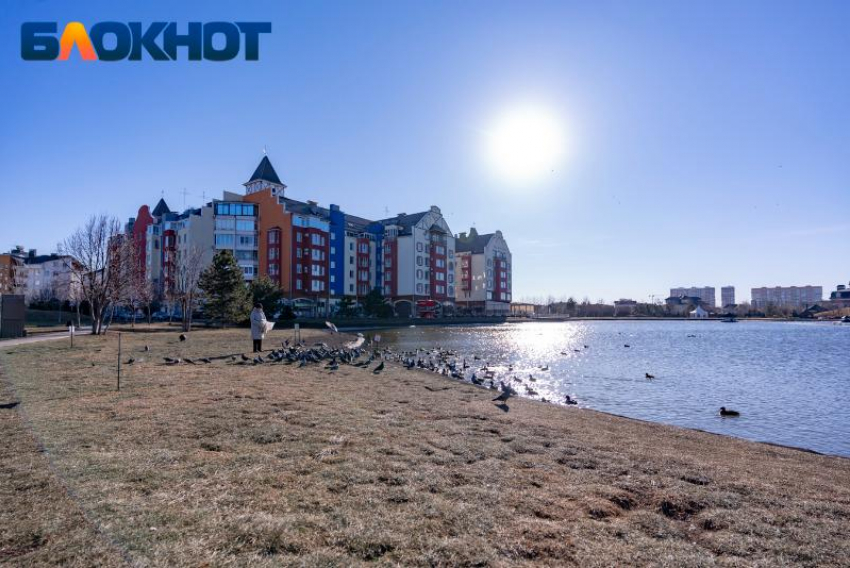 Солнечно и до +8: какая погода ждет краснодарцев в пятницу