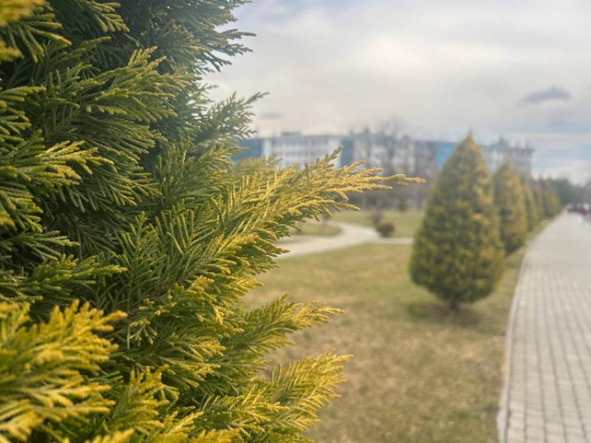 Промозглая погода ждет краснодарцев 25 февраля  