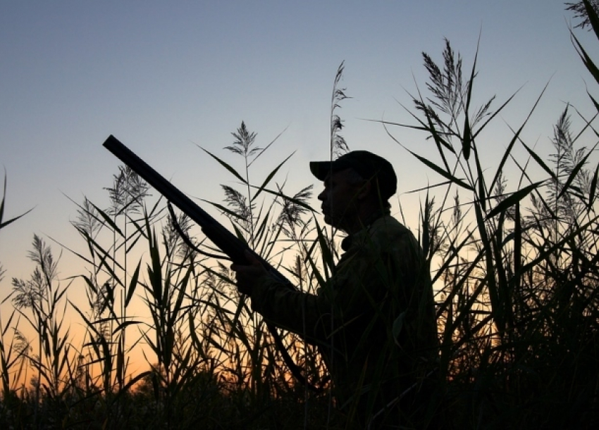 Вместо кабана силовик застрелил человека на охоте в Краснодарском крае