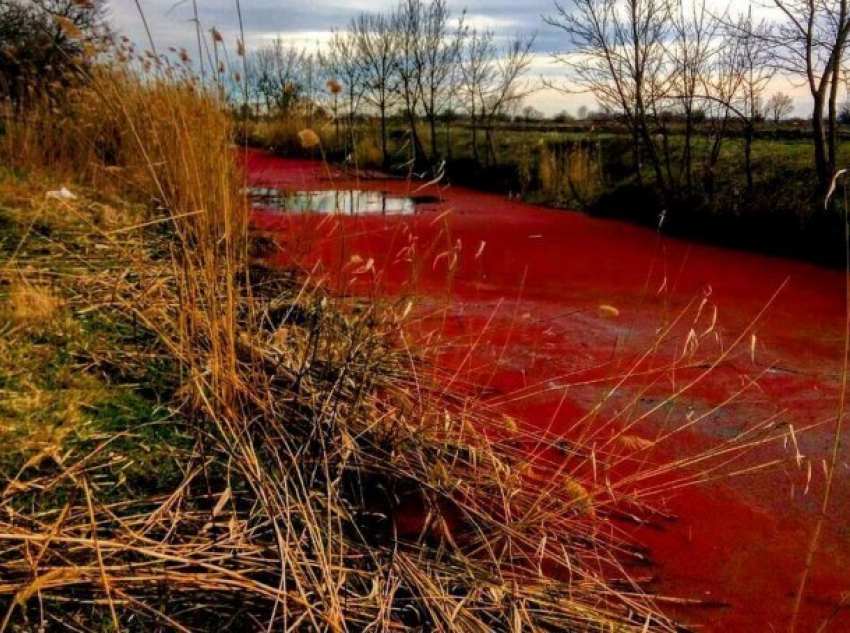  Красиво: Под Краснодаром по неизвестной причине покраснела река 