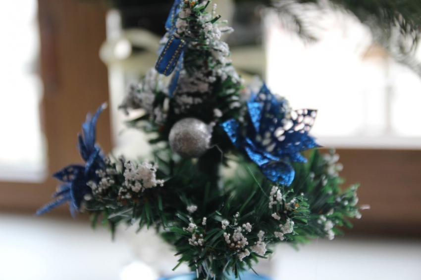 "В КПЗ сидел": краснодарцы рассказали, как встретили Новый год