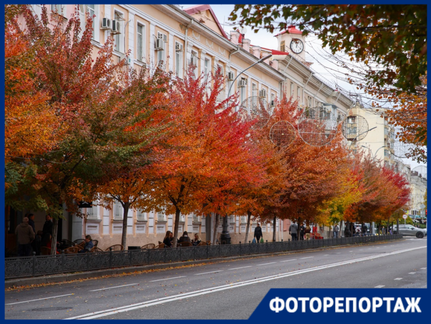 Краснодар вспыхнул красно-жёлтыми красками: осенняя фотопрогулка по городу