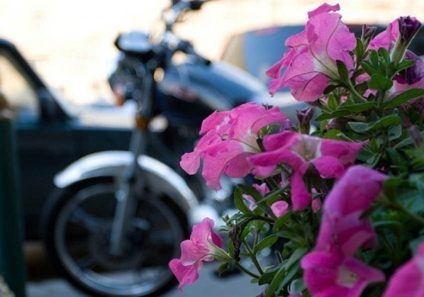 В Туапсе байкеры поздравили женщин с 8 марта