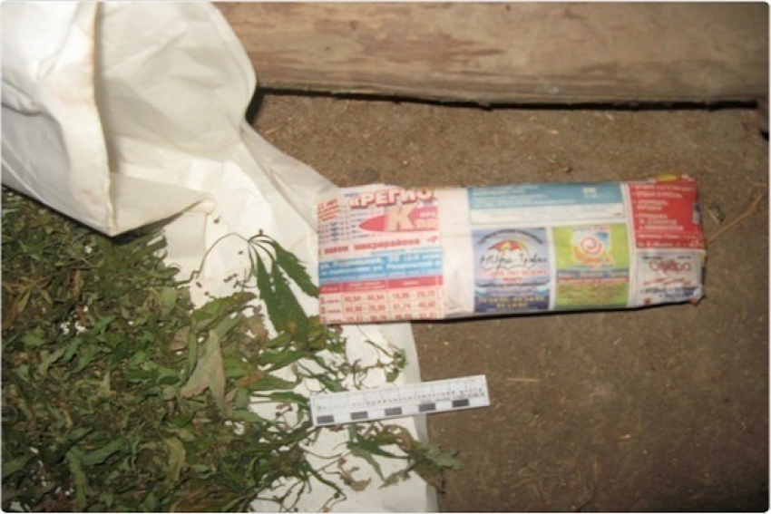 Кубанский наркоман  спрятал у себя дома тысячу доз марихуаны 