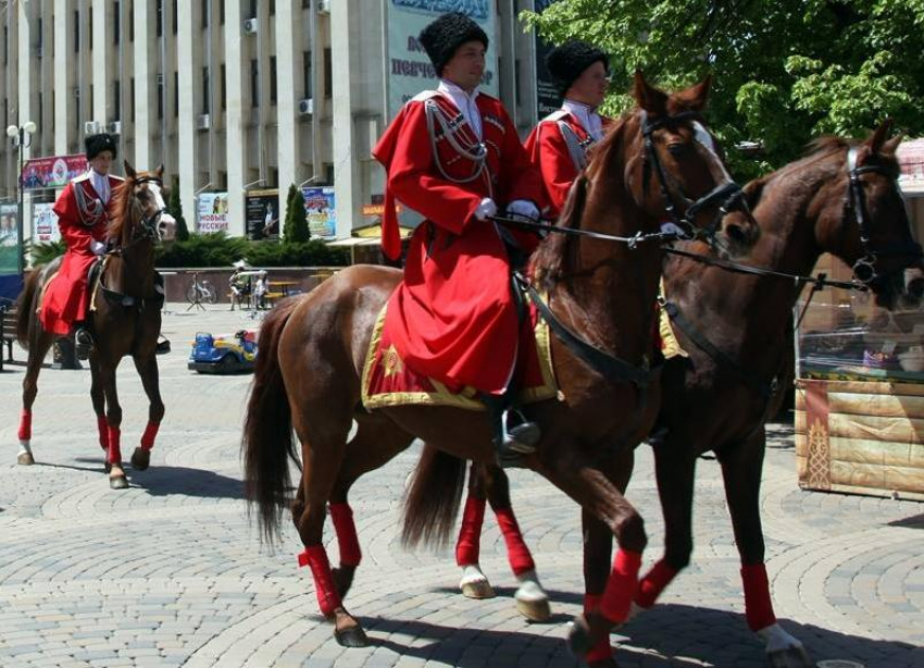 Путин наделит казаков Кубани властью силовиков