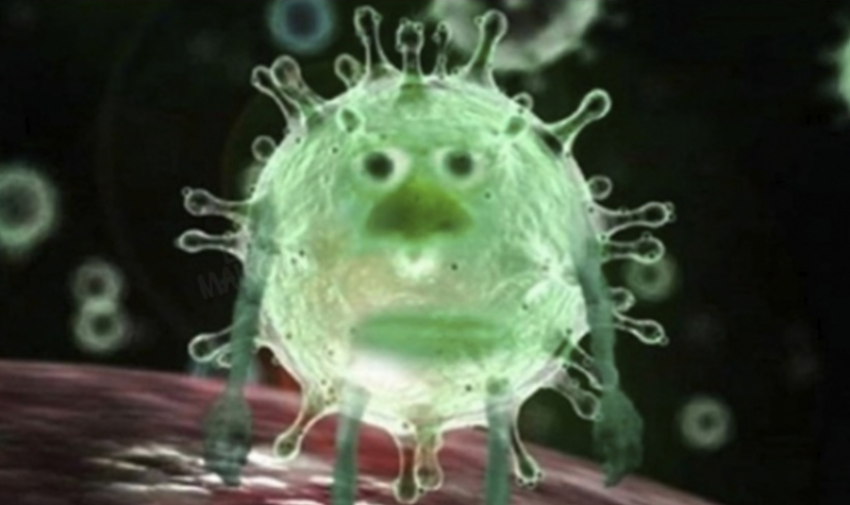 «А что происходит?»: мемы краснодарцев про забытый коронавирус взрывают соцсети