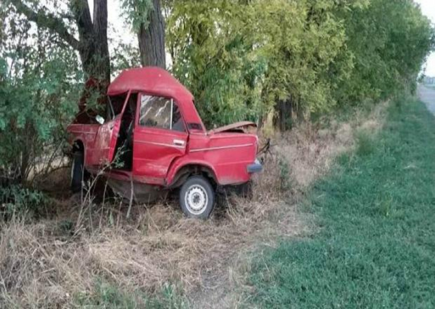 На Кубани водитель «шестерки» врезался в дерево и погиб 