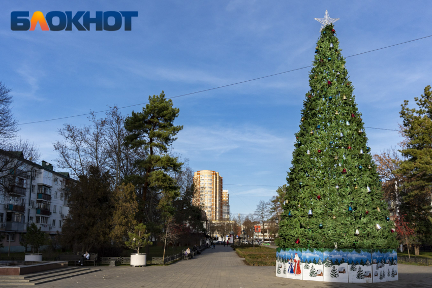 В Краснодаре назвали даты открытия новогодних елок в парках