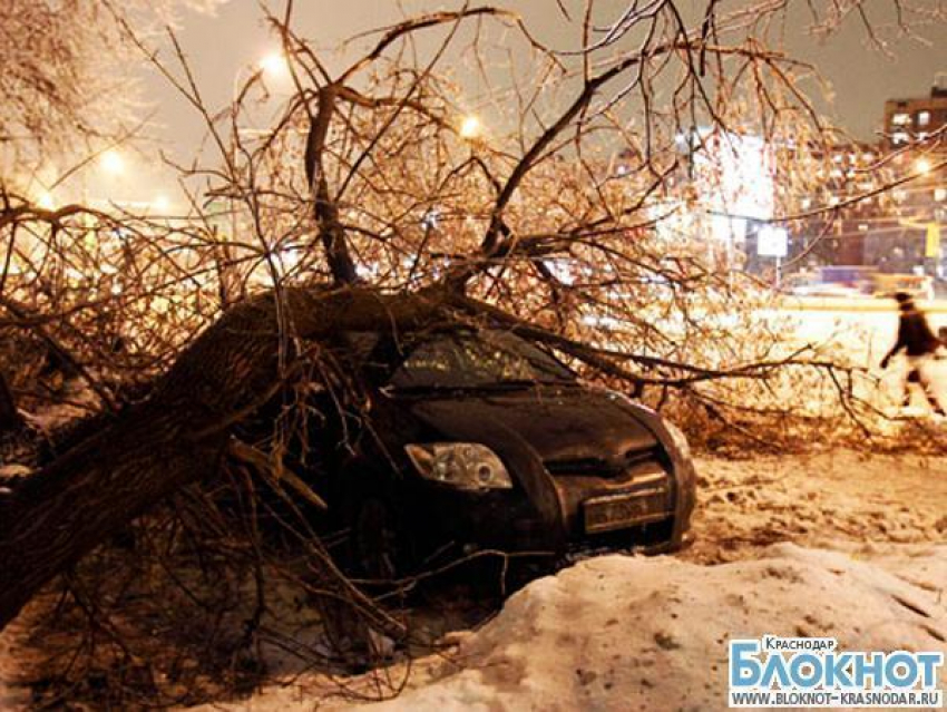 Мэрию Краснодара обвинили в медленной реакции на январскую стихию