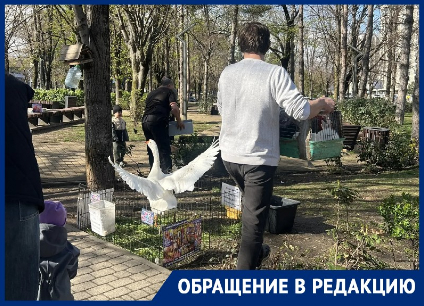 На потеху публике животных рассадили по тесным клеткам в сквере Краснодара